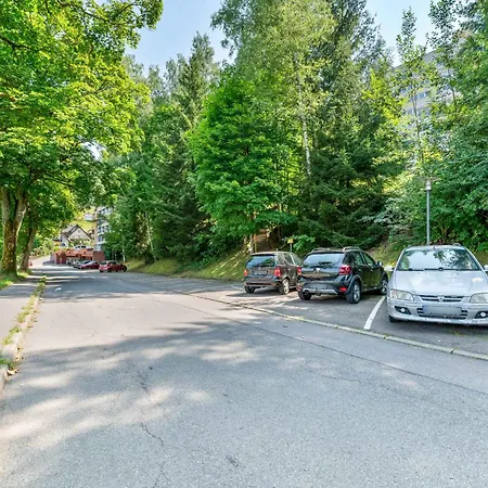 H5 303, Kingsize Bett, Netflix, Balkon, Pool Baiersbronn